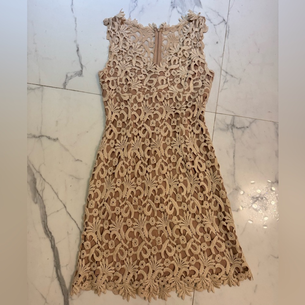 Chetta B Lace Floral Embroidered Mini Dress - Cream